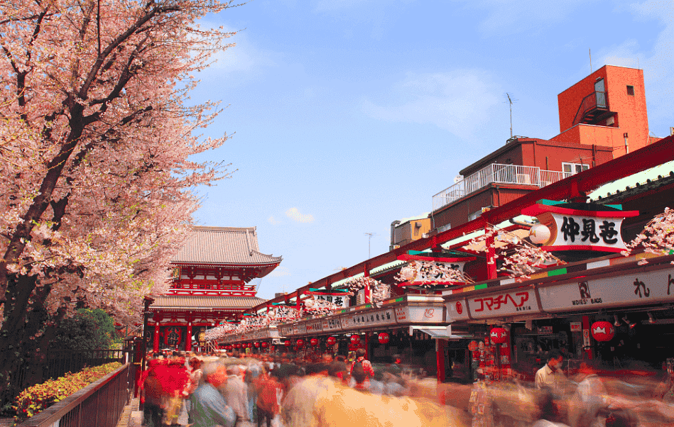 1547793006826409.png 1547793006826409.png