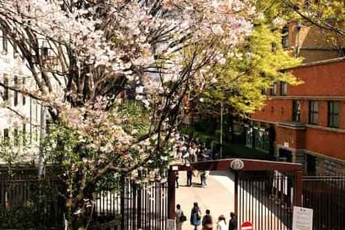 日本留學(xué)的“高性價(jià)比“體現(xiàn)在哪些方面? 日本留學(xué)的“高性價(jià)比“體現(xiàn)在哪些方面?