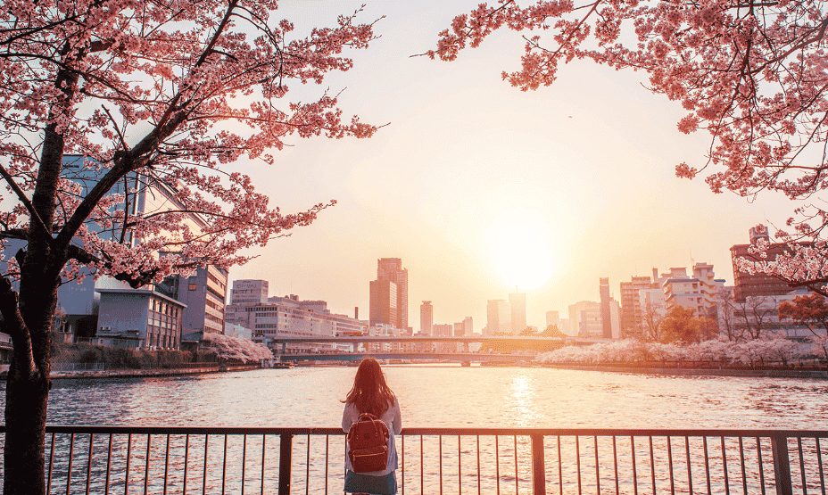 1687942650308244.png image.png